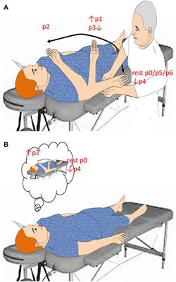 Novel Approaches to the Diagnosis of Chronic Disorders of Consciousness: Detecting Peripersonal Space by Using Ultrasonics
